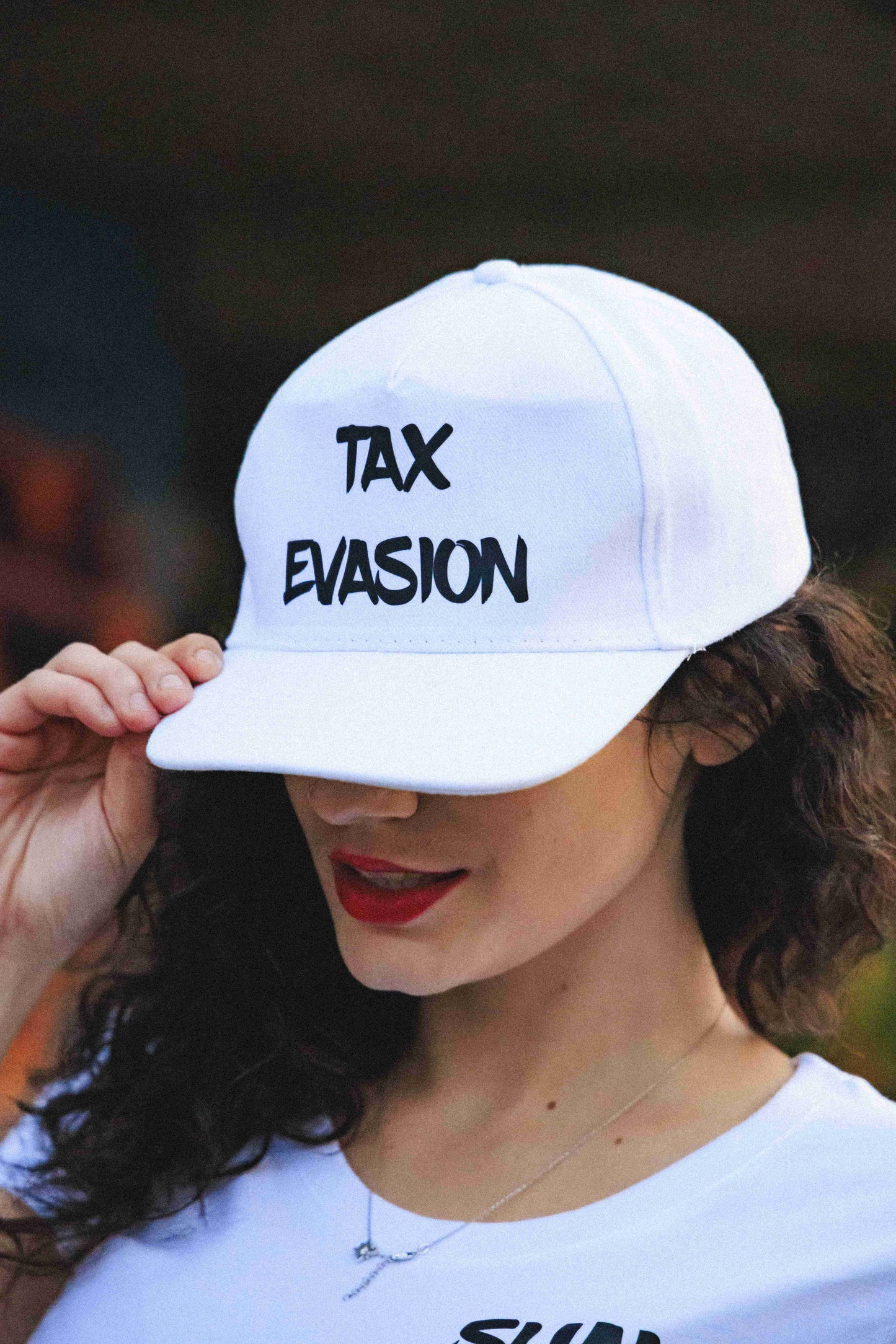 Tax Evasion Шапка